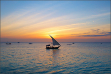  Marafiki Bungalows Zanzibar